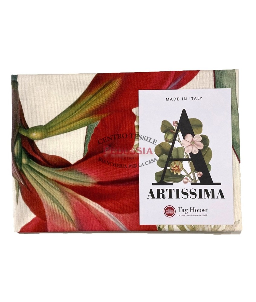 Tag House Set Americani Artissima Amaryllis Tag House Set Americani Artissima Amaryllis